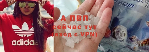 спайс Пестово