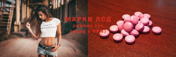 прущие грибы Переславль-Залесский