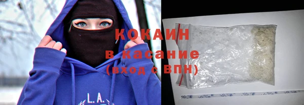 прущие грибы Переславль-Залесский