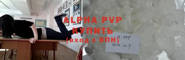 прущие грибы Переславль-Залесский