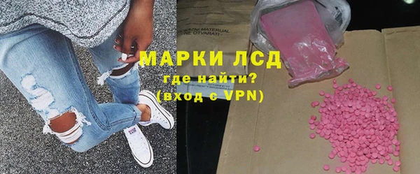 прущие грибы Переславль-Залесский
