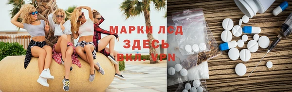 прущие грибы Переславль-Залесский