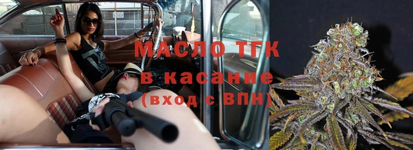 прущие грибы Переславль-Залесский