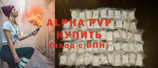 прущие грибы Переславль-Залесский